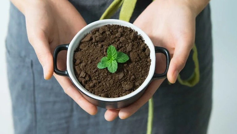 חומרים מתכלים